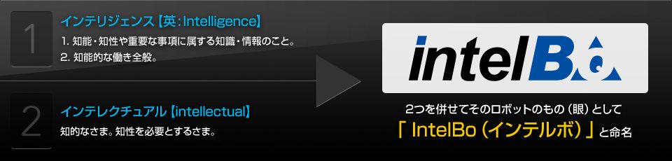 インテリジェンス【英:Intelligence】1. 知能・知性や重要な事項に属する知識・情報のこと。2. 知能的な働き全般。 / インテレクチュアル【intellectual】知的なさま。知性を必要とするさま。 / 2つを併せてそのロボットのもの（眼）として「 IntelBo（インテルボ）」と命名