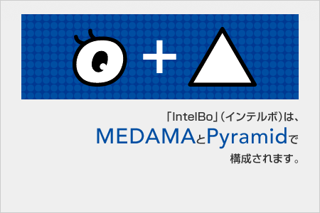 「IntelBo」（インテルボ）は、MEDAMAとPyramidで構成されます。