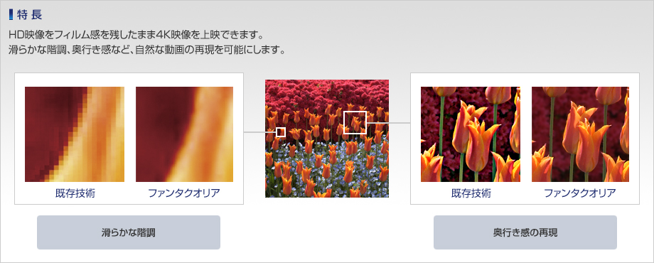 「特長」HD映像をフィルム感を残したまま4K映像を上映できます。滑らかな階調、奥行き感など、自然な動画の再現を可能にします。